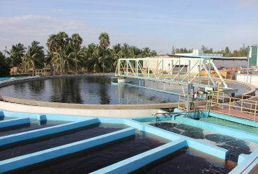 6 Clarifier & BDTRF