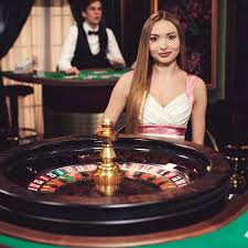 The Thrill of Roulette Casinos A Beginner's Guide