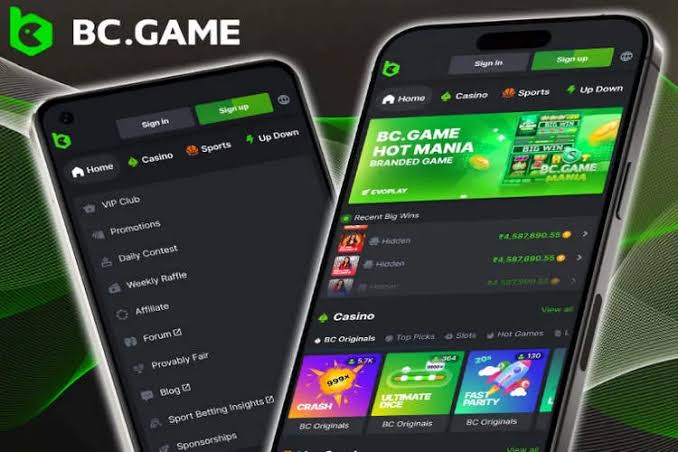 Download the BC.Game App Your Gateway to Exciting Casino Fun! Download the BC.Game App Your Gateway to Exciting Casino Fun!